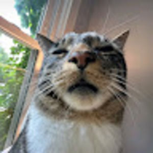 Meet your Posher, Leyla